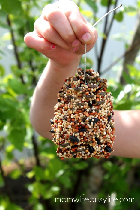 Pine Cone Bird Feeders