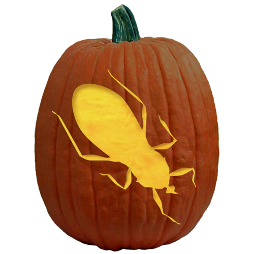 Bug O Lantern