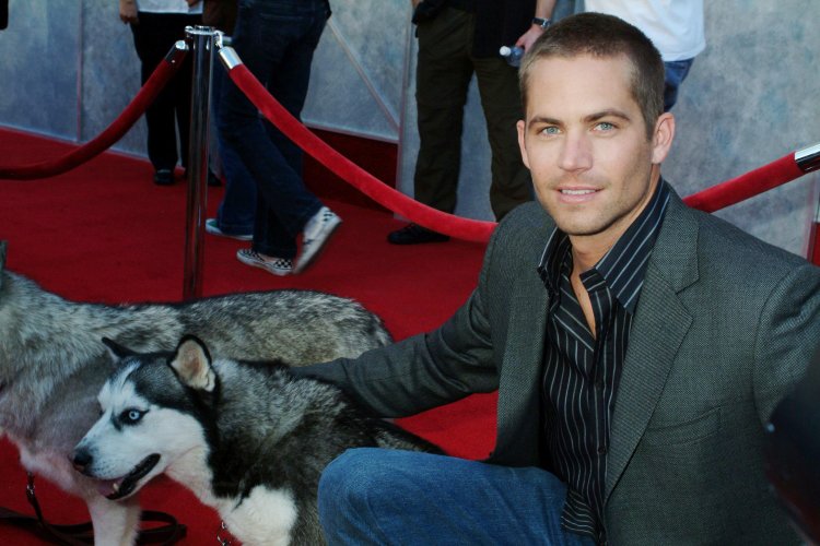 Paul Walker