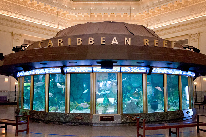 Shedd Aquarium (Chicago, IL)