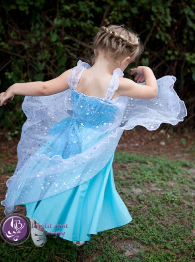 Elsa Princess Dress