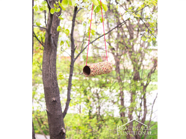 Toilet Paper Roll Bird Feeder