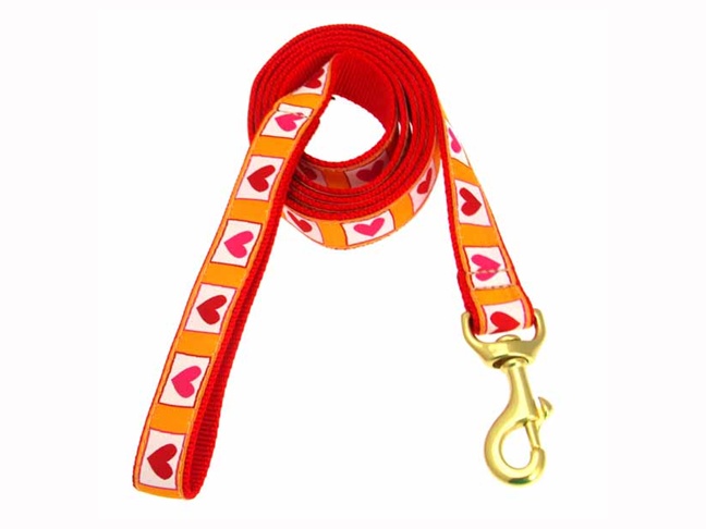 Hot Hearts Dog Leash