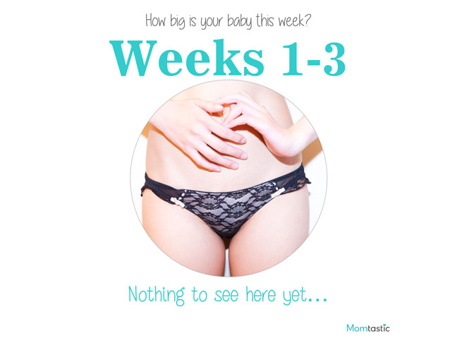 Weeks 1-3