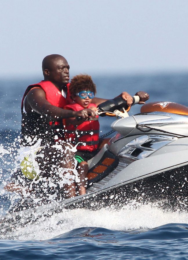 Seal, life jacket, goggles, sunglasses, jet ski